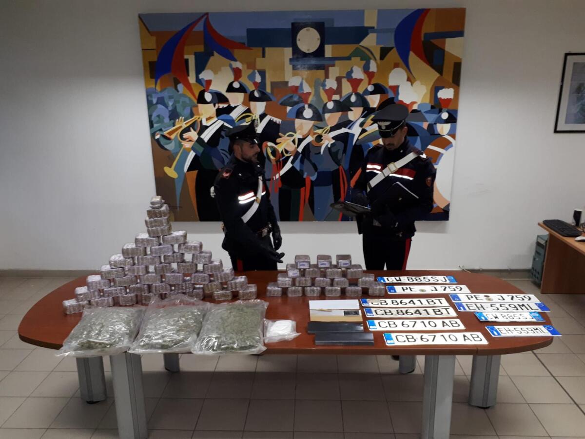I carabinieri di Aprilia sequestrano più di 30 kg di droga ad Anzio, un arresto - 