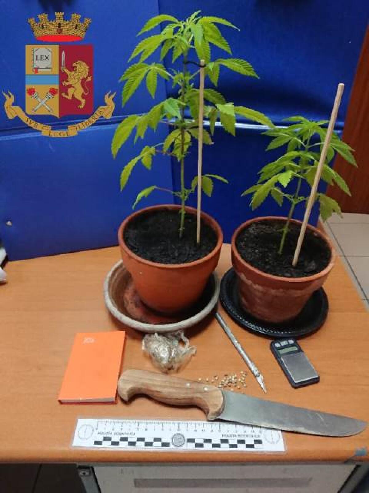 Operazione “Game Over” della Questura di Latina: eseguite 7 misure cautelari per spaccio di droga tra Gaeta, Formia e Napoli. - 