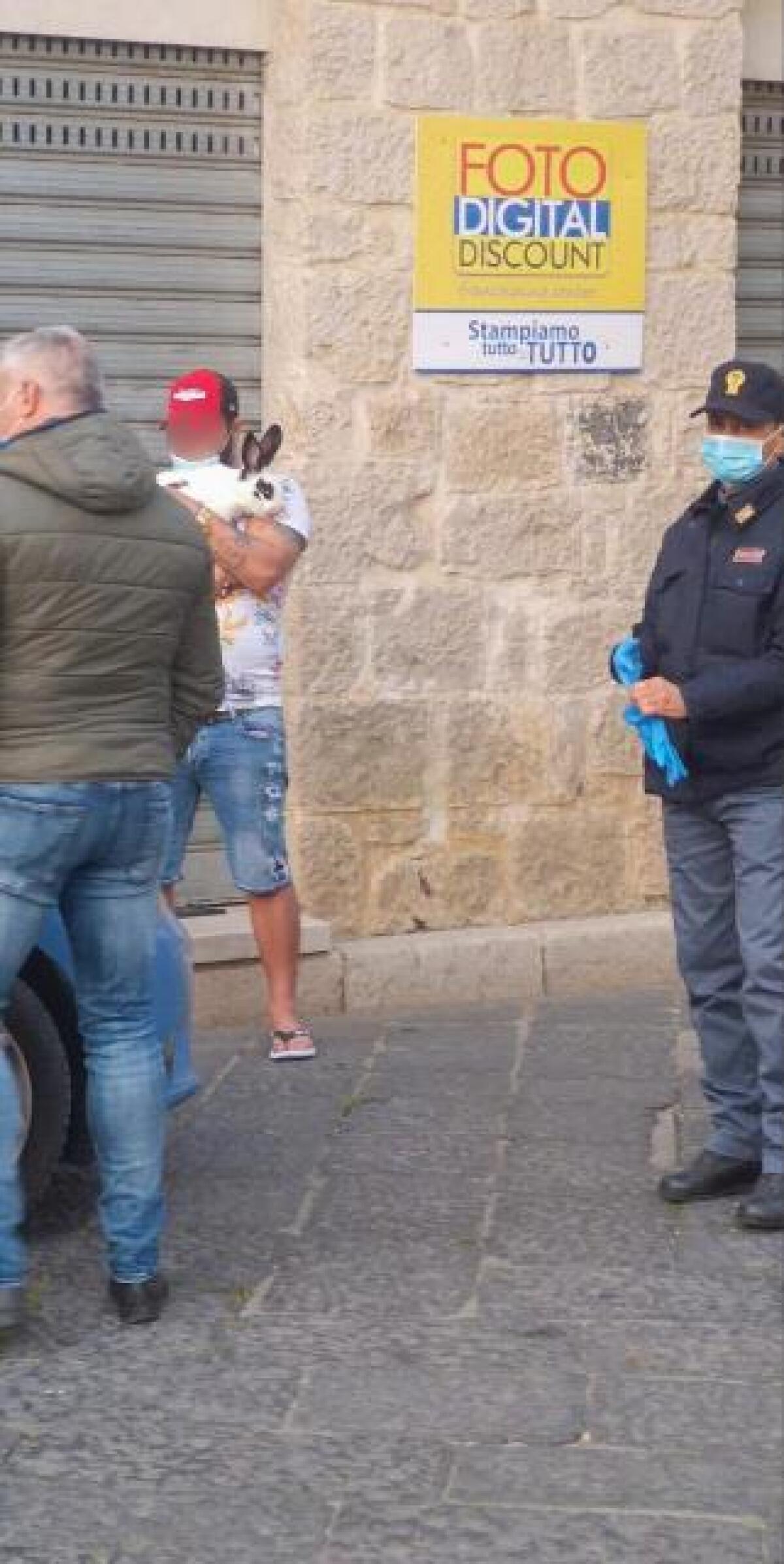 Coronavirus, esce in centro a Fondi per una sgambata con il coniglio. Viene sanzionato dalla Polizia. - 