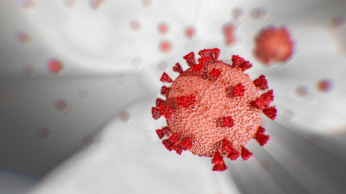 Coronavirus, Asl Roma 6: altri 9 positivi, cluster in casa di risposo di Anzio - 