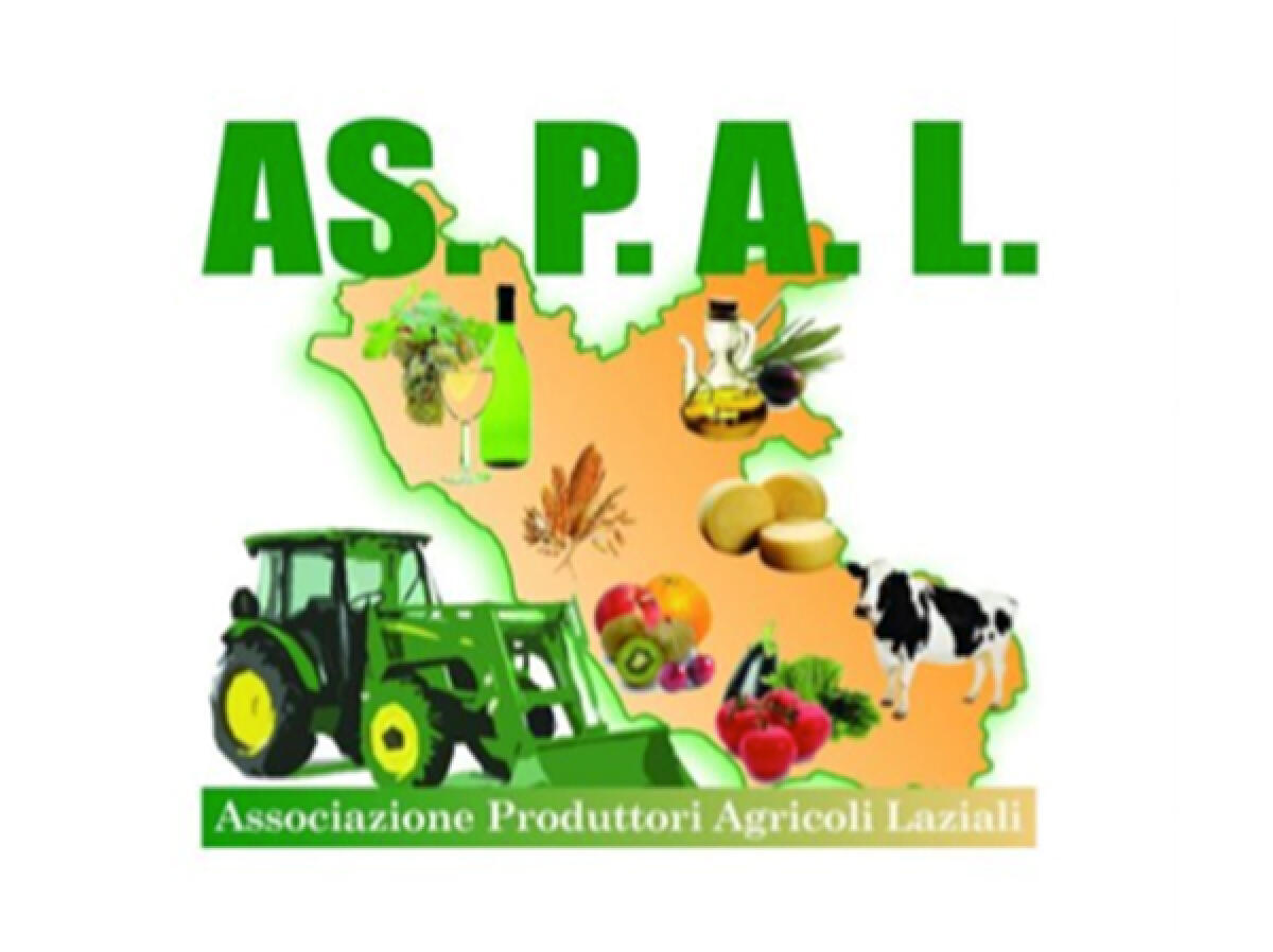 L’Associazione Produttori Agricoli del Lazio preoccupata per la prossima vendemmia, "Chiediamo incontro in Regione" - 