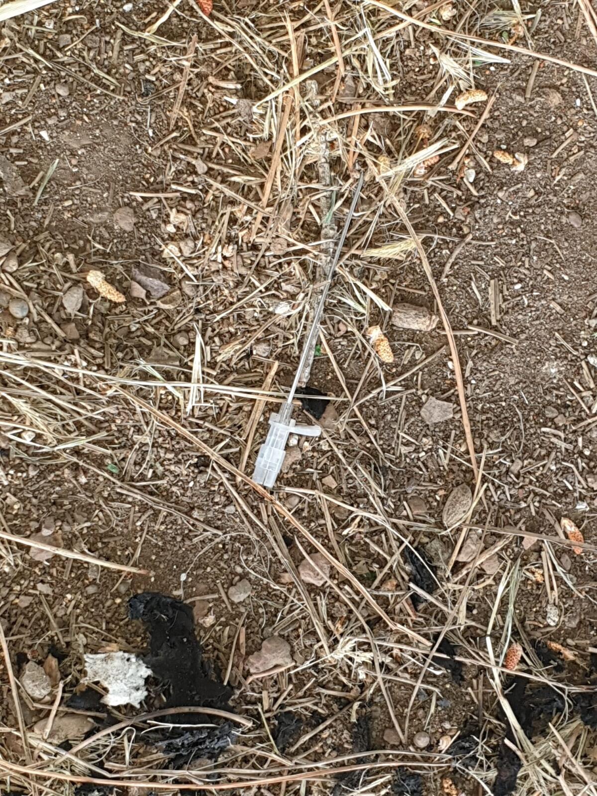 Siringhe nel parco di via Francia ad Aprilia, attesa la pulizia dell'area ora transennata FOTO - 