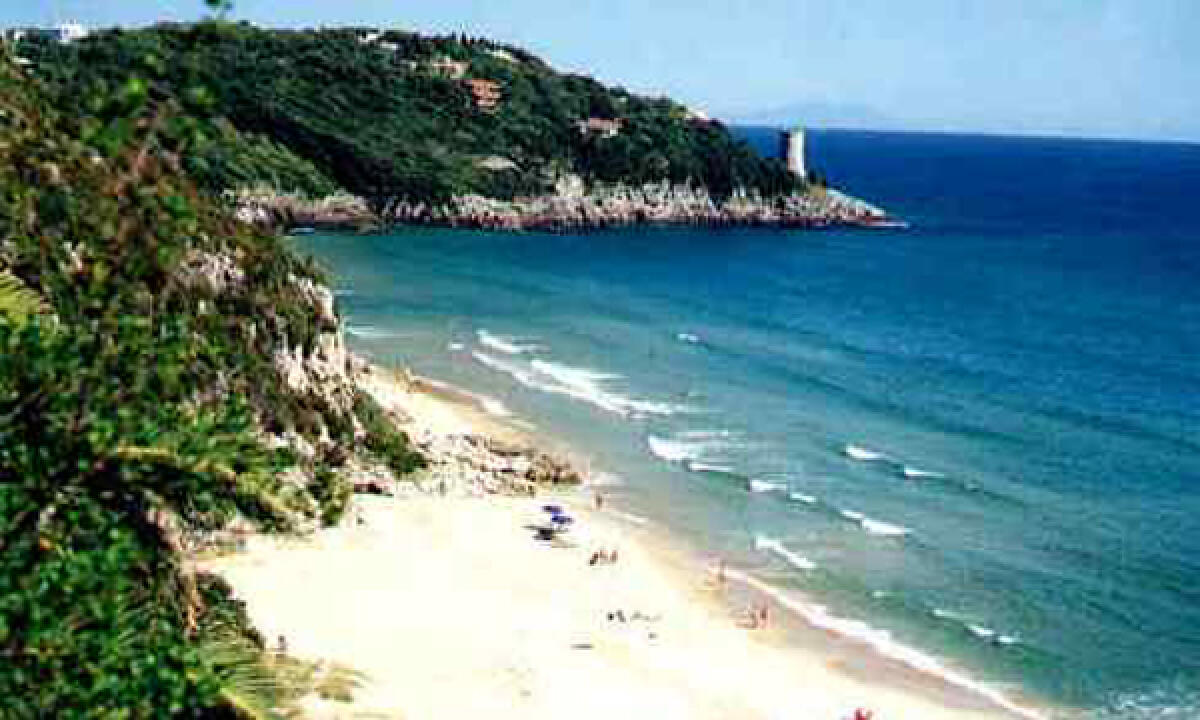 Stagione balneare, prima riunione tra regione Lazio e autorità del litorale: si lavora alle linee guida - 