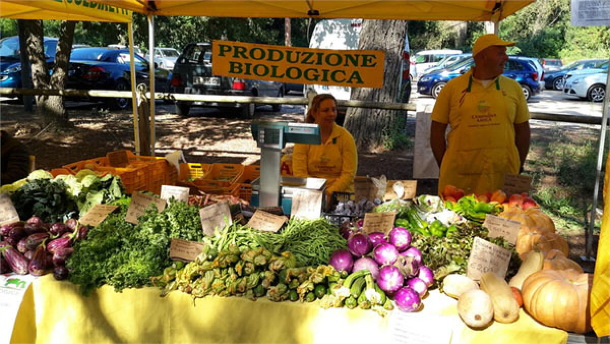 Riapre oggi a Pomezia il mercato della Coldiretti, in piazza San Benedetto da Norcia. - 