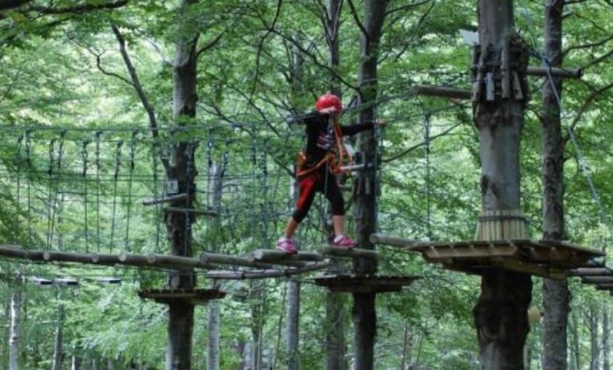 Ok al progetto per riqualificare il Monumento Naturale di San Martino a Priverno - 