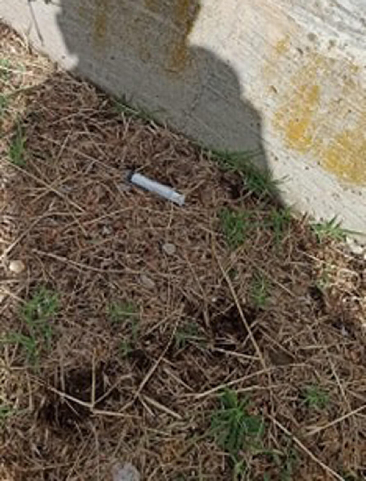 Siringhe, vetri rotti ed immondizia: nei parchi pubblici di Aprilia il pericolo è sempre in agguato. - 