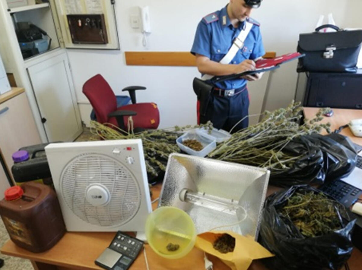 Quasi 2 chili di marijuana in casa, 40enne di Aprilia in arresto - 