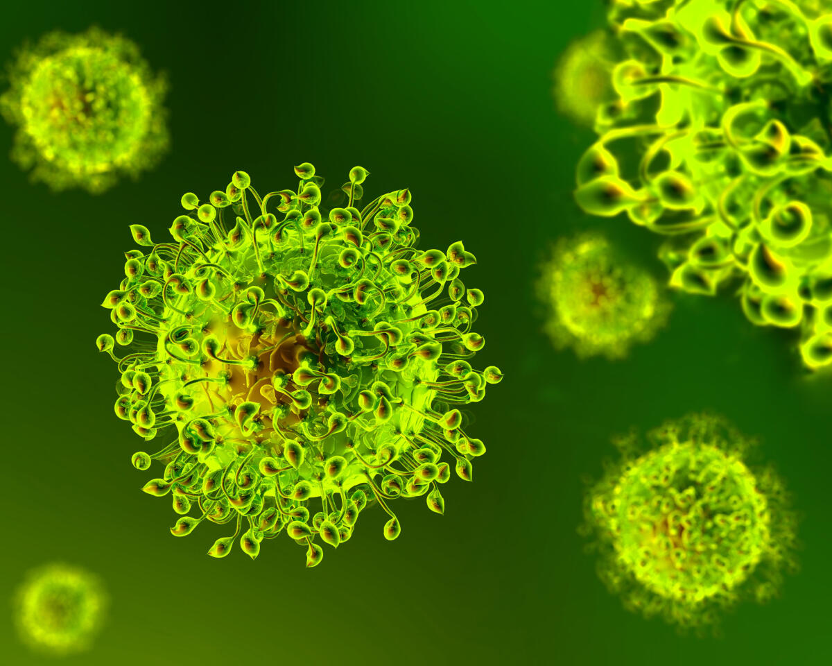 Coronavirus, zero decessi e zero nuovi casi tra i Castelli e il litorale romano - 