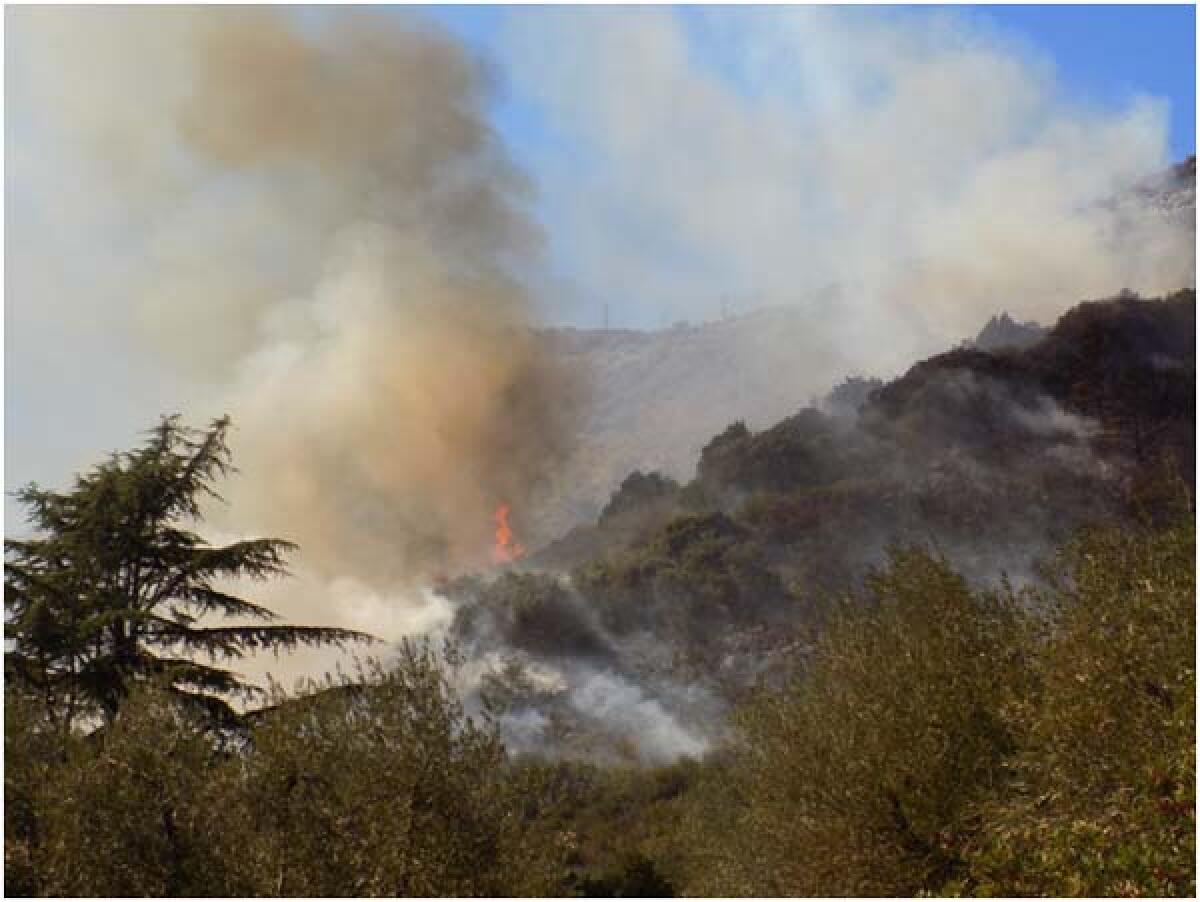 Maxi incendio a Nettuno, aperta un'indagine sulla morte degli 8 cani - 