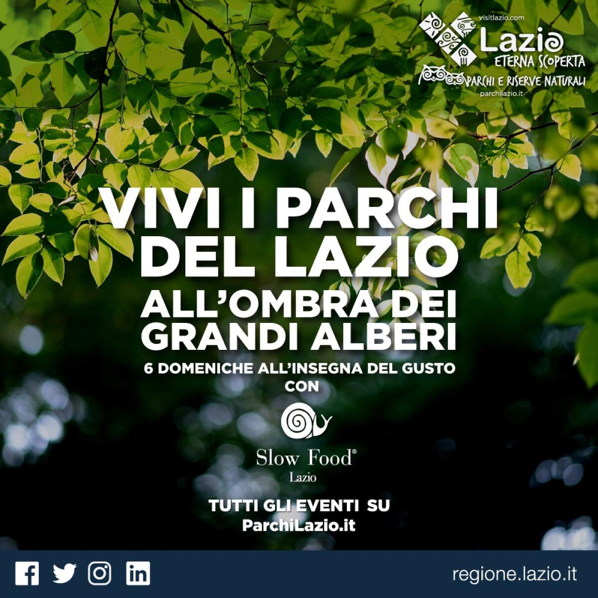 “All’ombra dei grandi alberi”: dal 26 luglio al 13 settembre domenica col gusto nei parchi del Lazio con Slow Food. - 