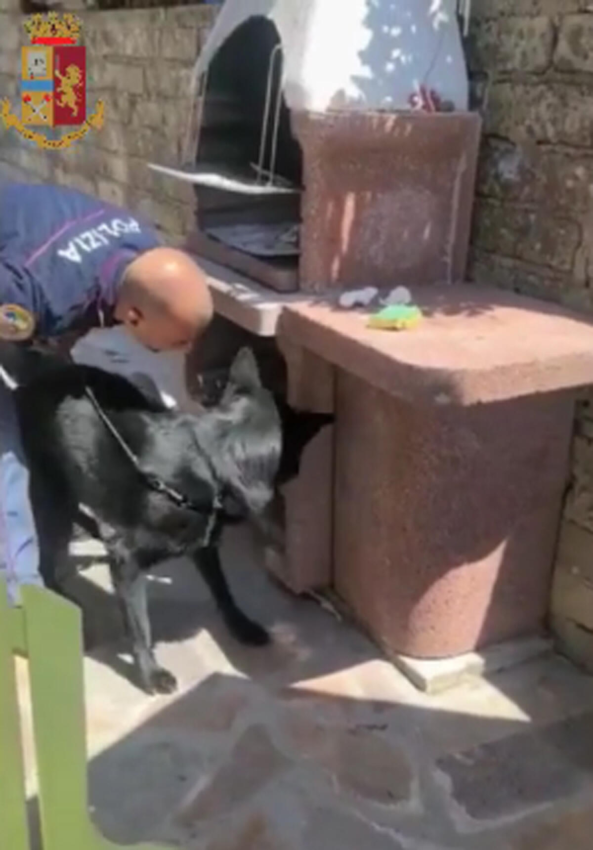 Hashish e cocaina nascosti in un barbecue: il cane antidroga Wumm fa arrestare un  43enne dei Castelli Romani. - 