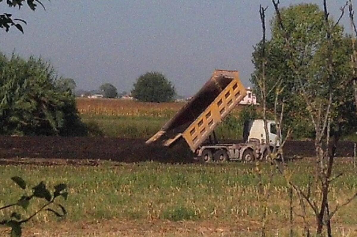 Mais coltivato sui campi inquinati della Sep, a Pontinia. I comitati: “Tolti i sigilli ma la bonifica è stata fatta?”. - 