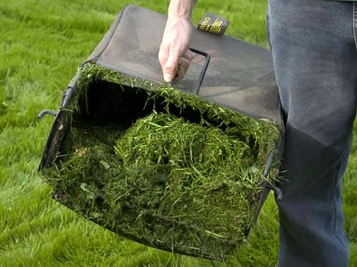 Lettera al sindaco dei comitati di quartiere di Aprilia: "Potenziare servizio di raccolta sfalci" - 