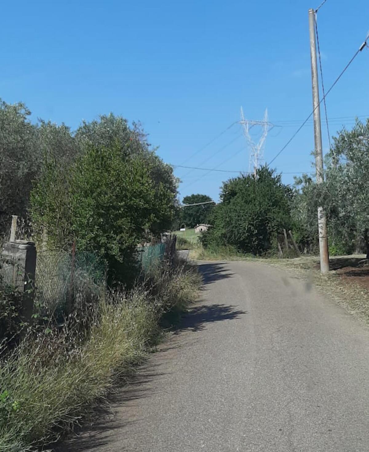 Pulizia dei canali e dei fronti stradali: il sindaco di Velletri, Pocci, intensifica i controlli. - 