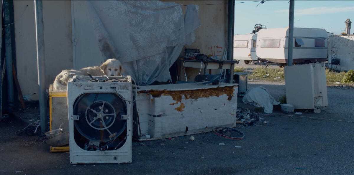 Campo rom di Castel Romano, Comune di Roma chiede sgombero per 28 famiglie: "Si avvicina la campagna elettorale" - 