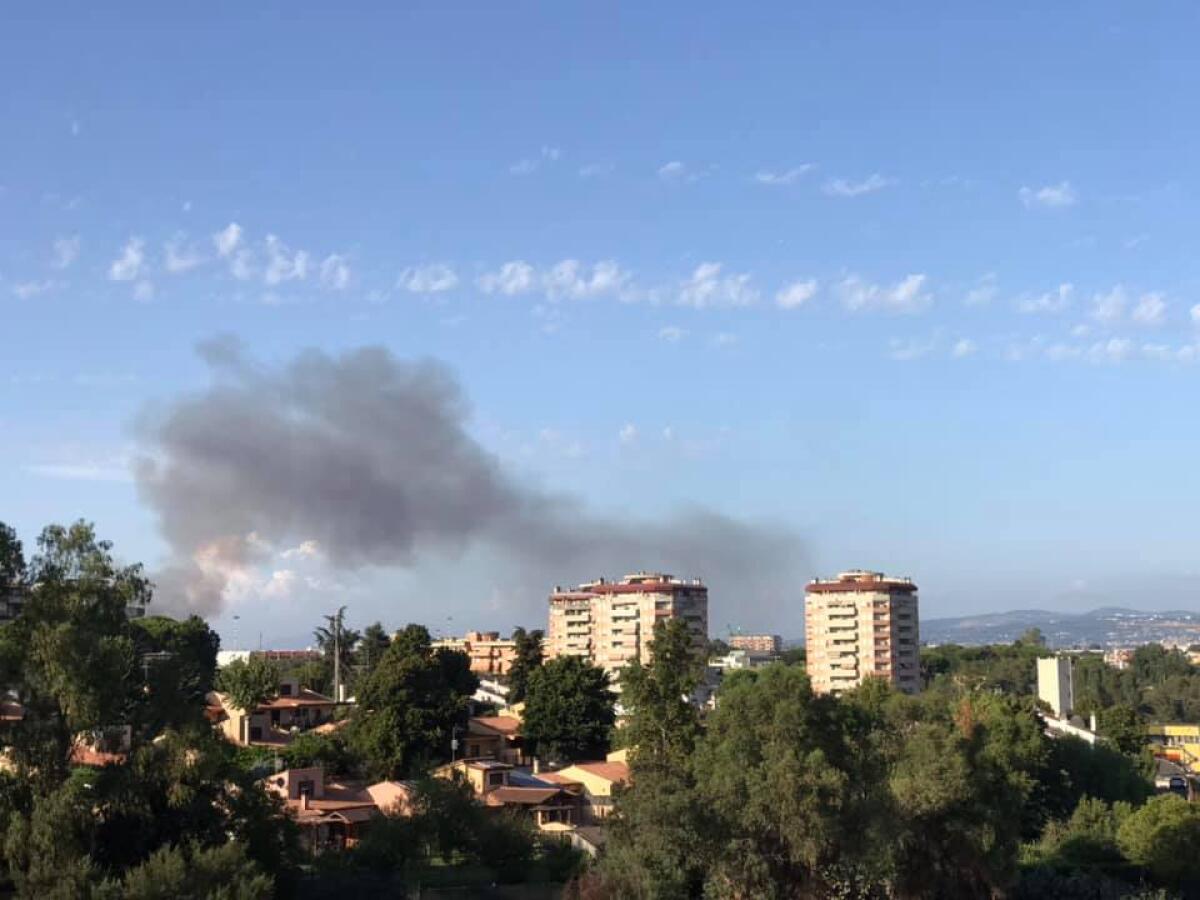 Maxi incendio a Pomezia, bruciano sterpaglie e vegetazione - 