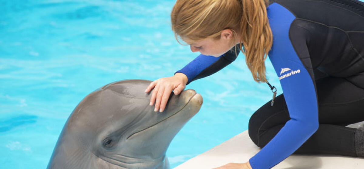 Lo Zoomarine di Torvaianica da oggi riapre i battenti: il Tar del Lazio accoglie la richiesta di sospensiva. - 