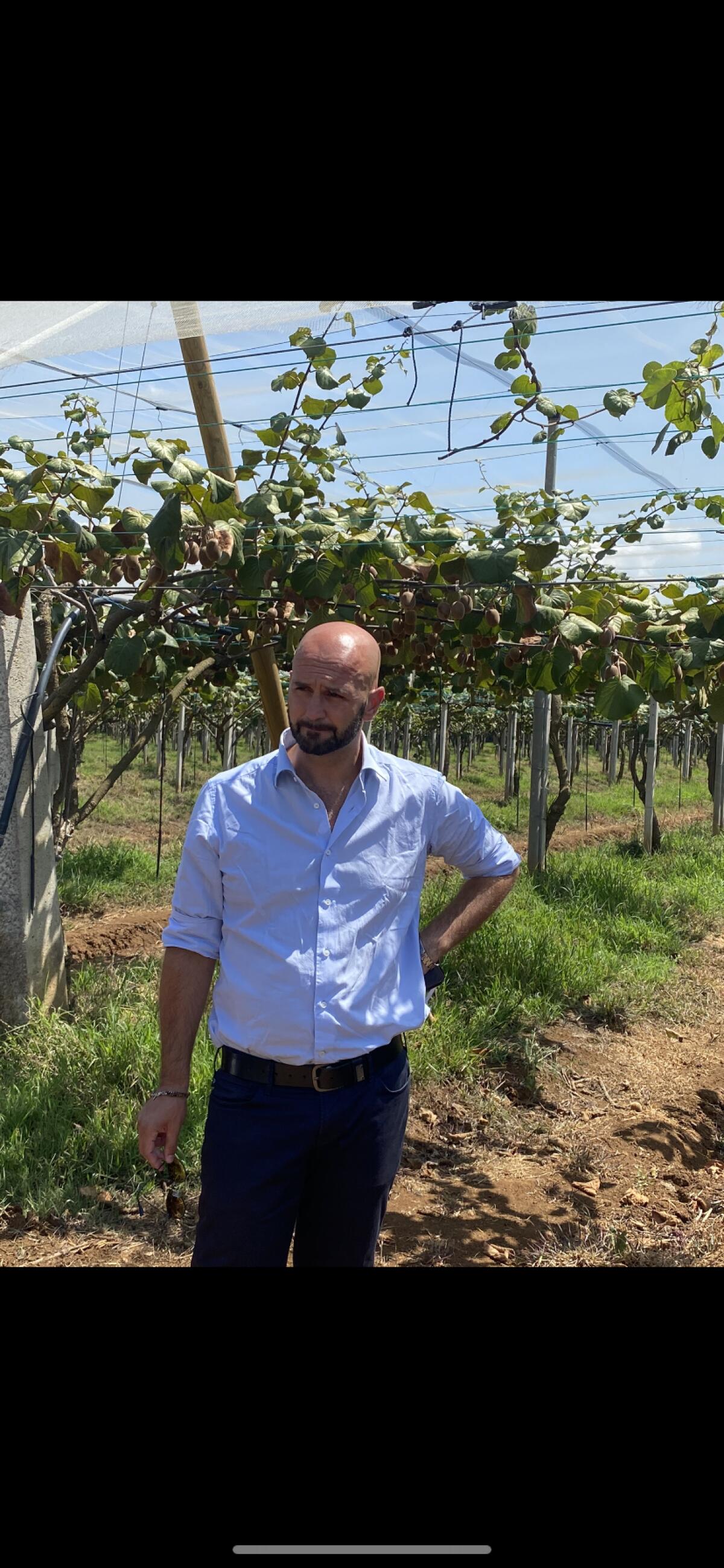 Moria del kiwi, sopralluogo dell'europarlamentare Procaccini - 