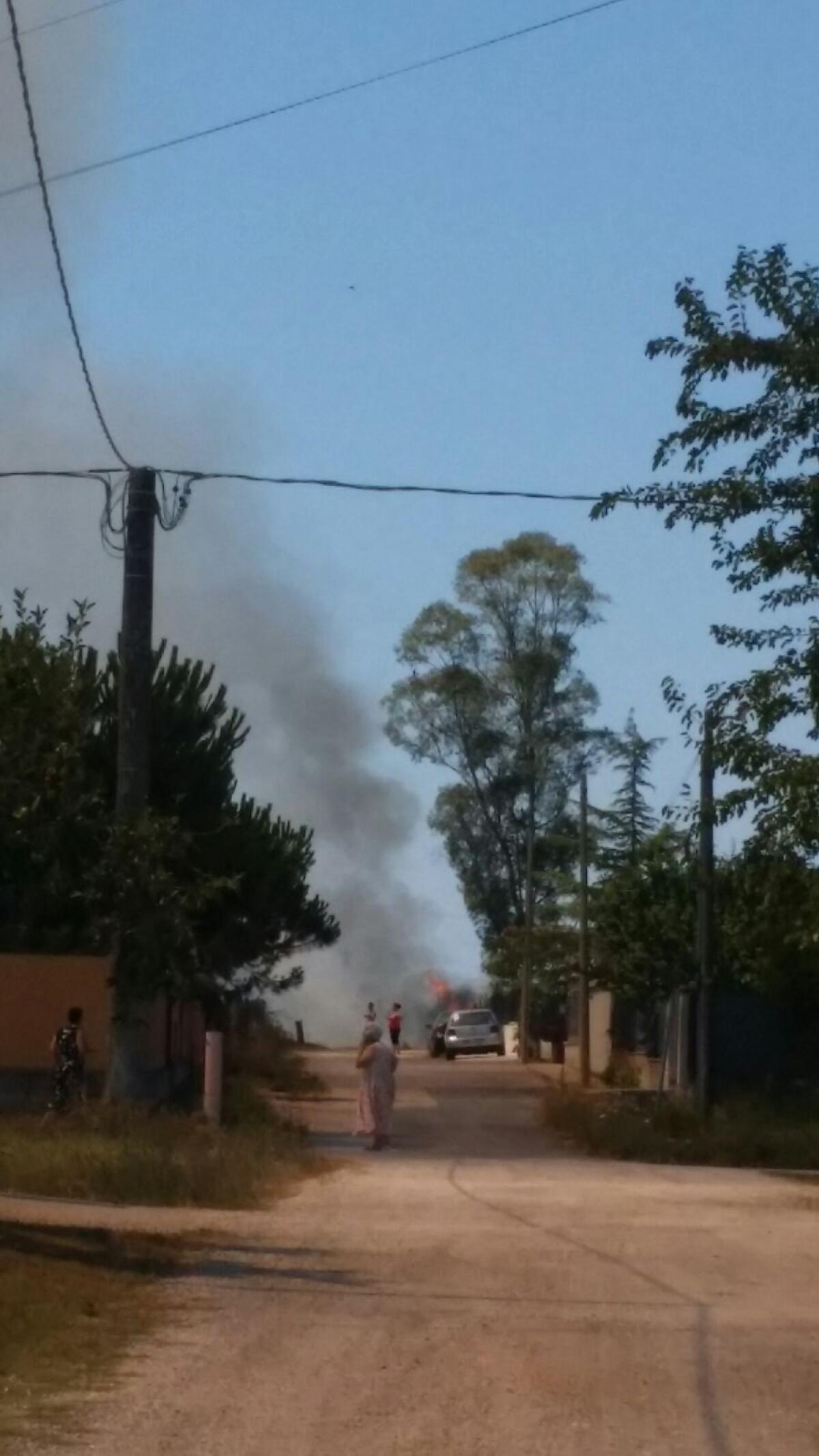 Miasmi pestilenziali nelle ore notturne nel quartiere Selciatella, ad Aprilia: la denuncia del comitato di quartiere. - 