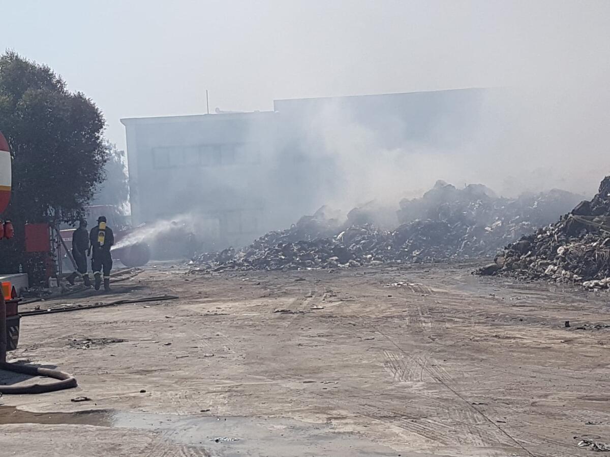 Loas, il Comune di Nettuno: "Attese indicazioni da Arpa, lavare in modo accurato frutta e verdura" - 