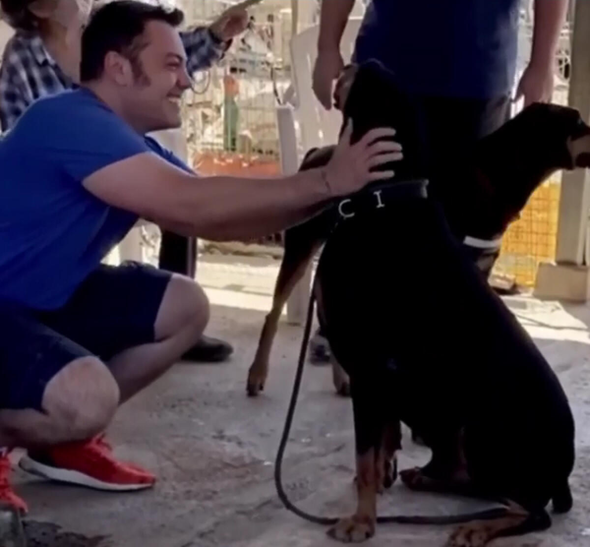 Tiziano Ferro dà un senso al dolore per la scomparsa del suo cane Beau, adottando Jake al canile, un gigante di 8 anni. - 