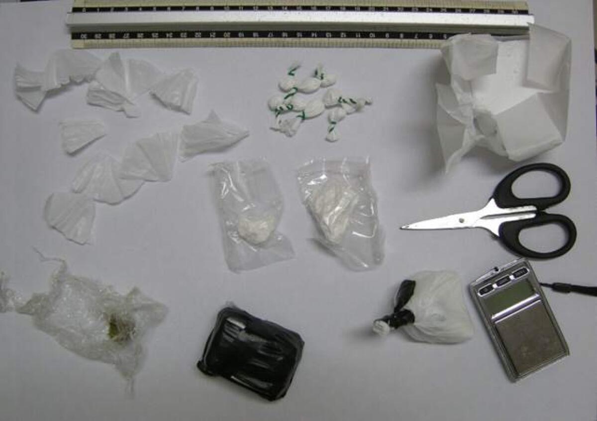 Spaccio in periferia ad Aprilia: sequestrato un etto di cocaina. A Cisterna in arresto 26enne FOTO - 