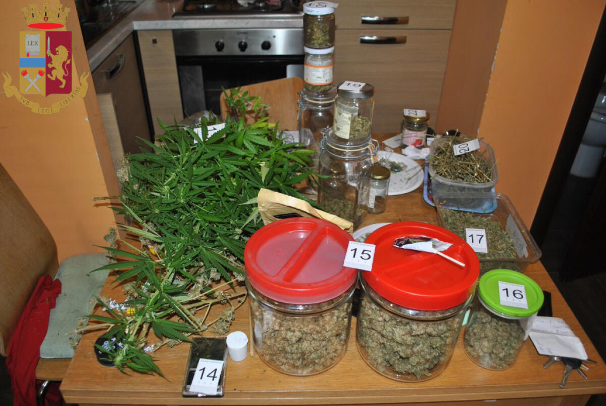 Centrale dello spaccio in un appartamento di Anzio, 23enne in arresto FOTO - 