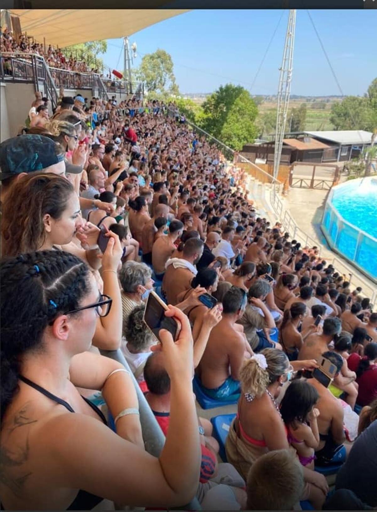 Chiusura "Zoomarine". Il sindaco di Pomezia: “Priorità deve essere la salute pubblica. Nessun errore da parte del Comune” - 