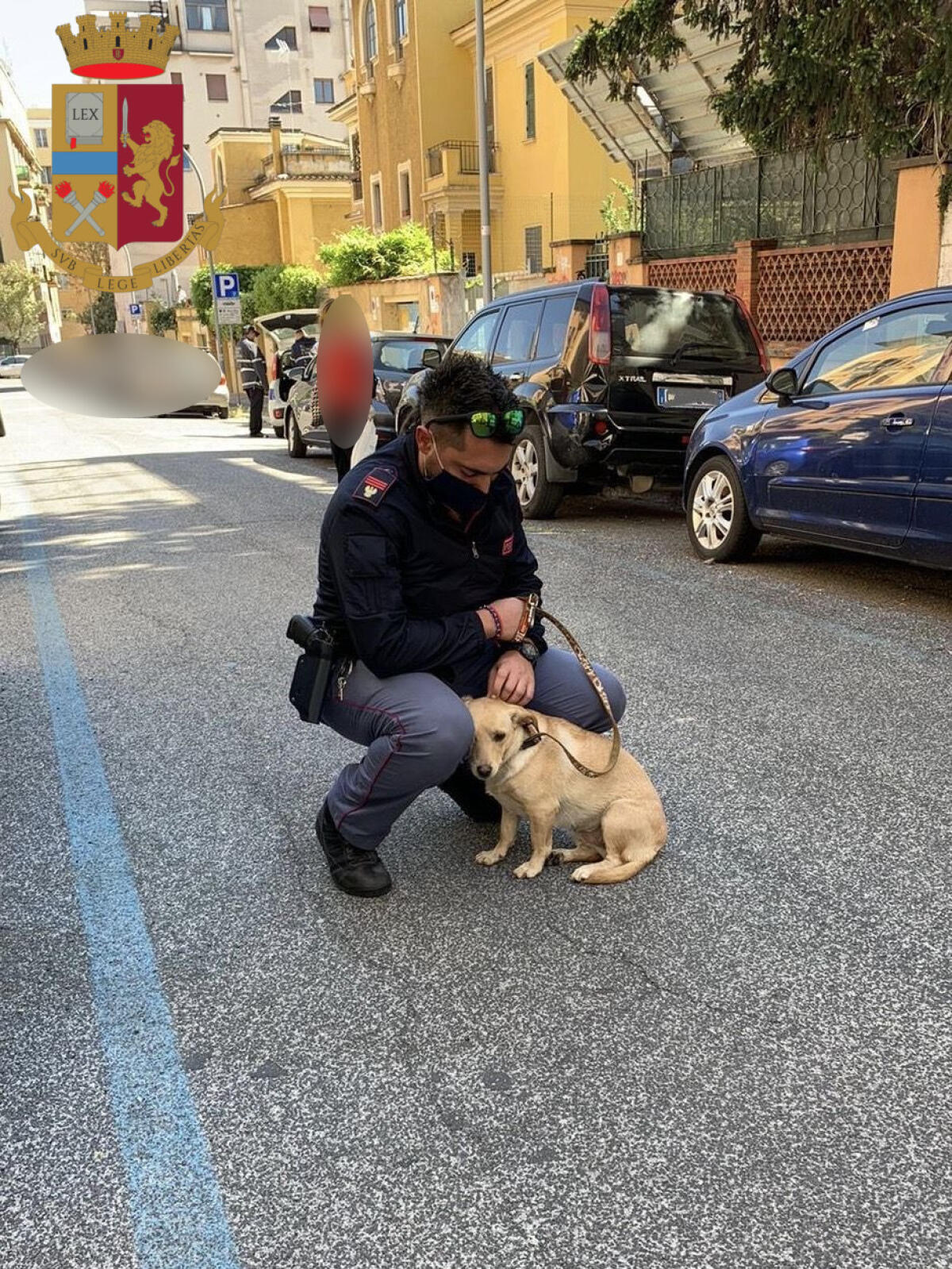 Rinvenuto dalla Polizia un cucciolo di meticcio legato ad un palo sotto il sole cocente. Adottato dall'agente che lo ha salvato - 