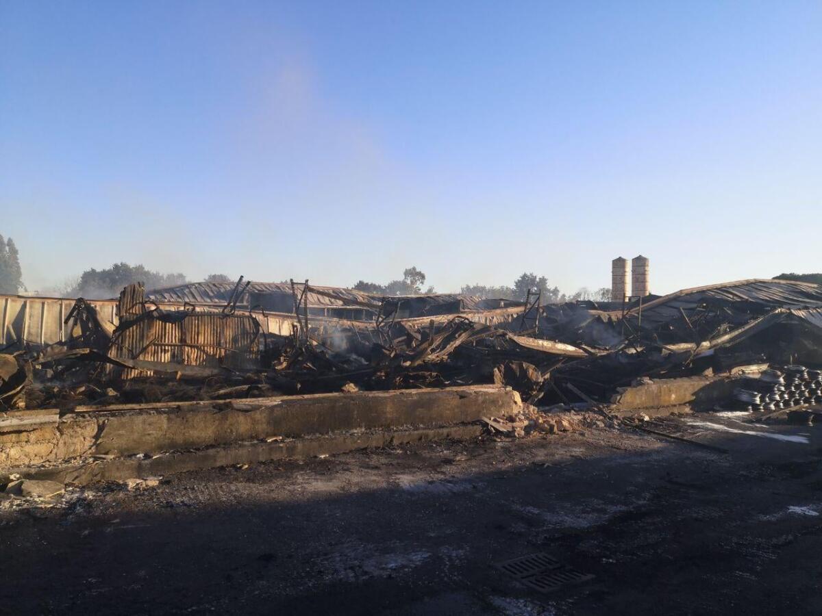 Doloso l’incendio al deposito di pneumatici di via di Valle Caia, ad Ardea. L’ordinanza del Sindaco. - 