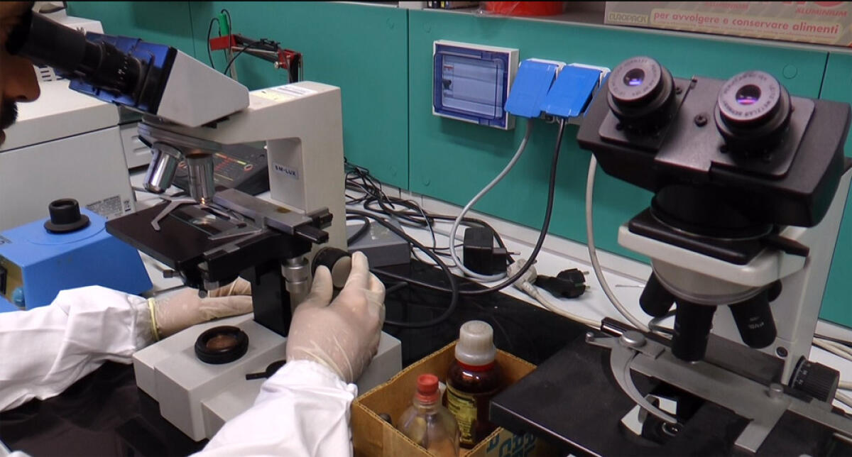 POMEZIA –  Reazione anomala su un paziente, interrotta la sperimentazione del vaccino sviluppato da AstraZeneca. - 