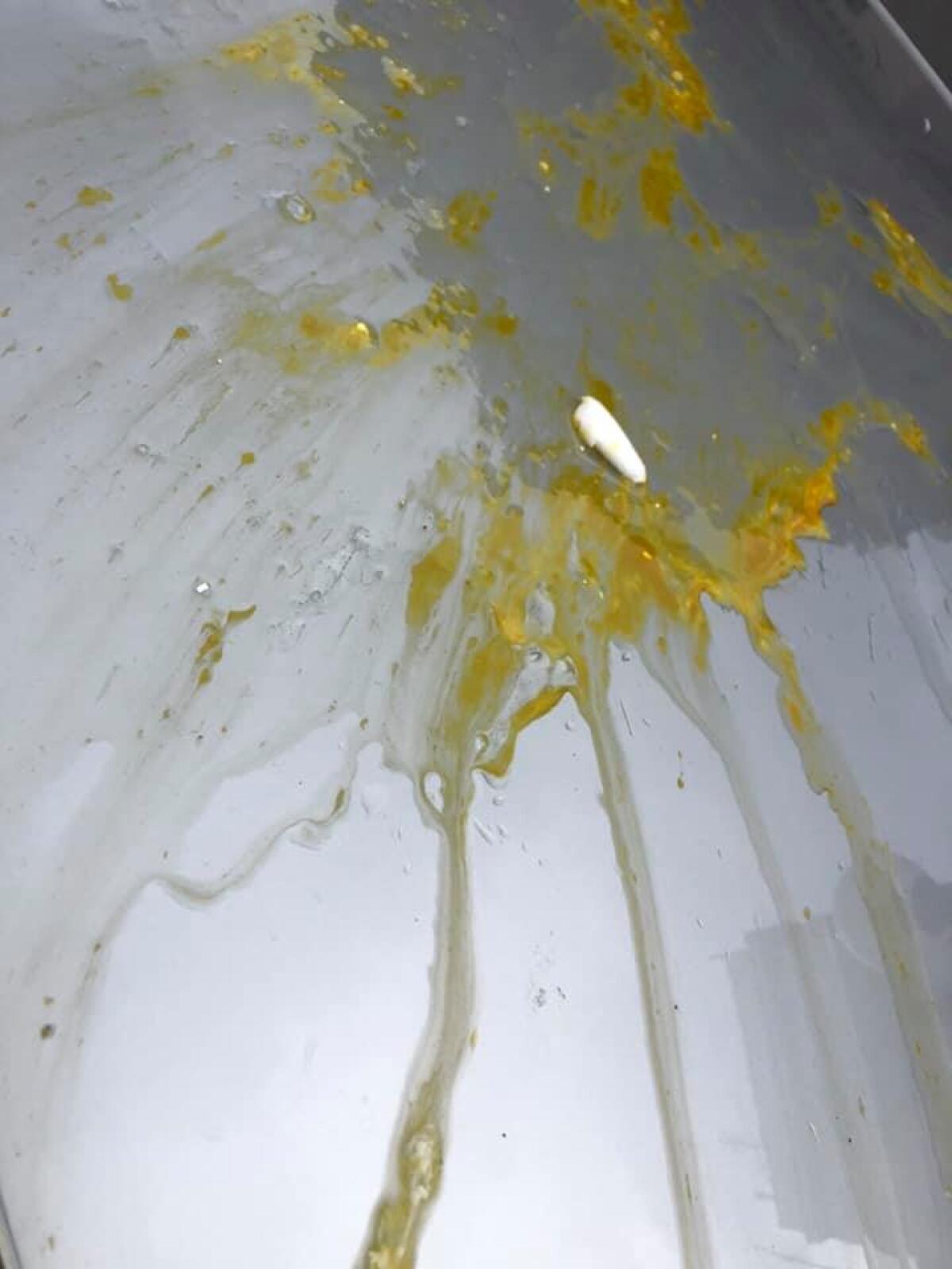 Lancio di uova contro l'auto del consigliere Mancini a Nettuno, il sindaco: "Solidarietà, ora si faccia chiarezza" - 