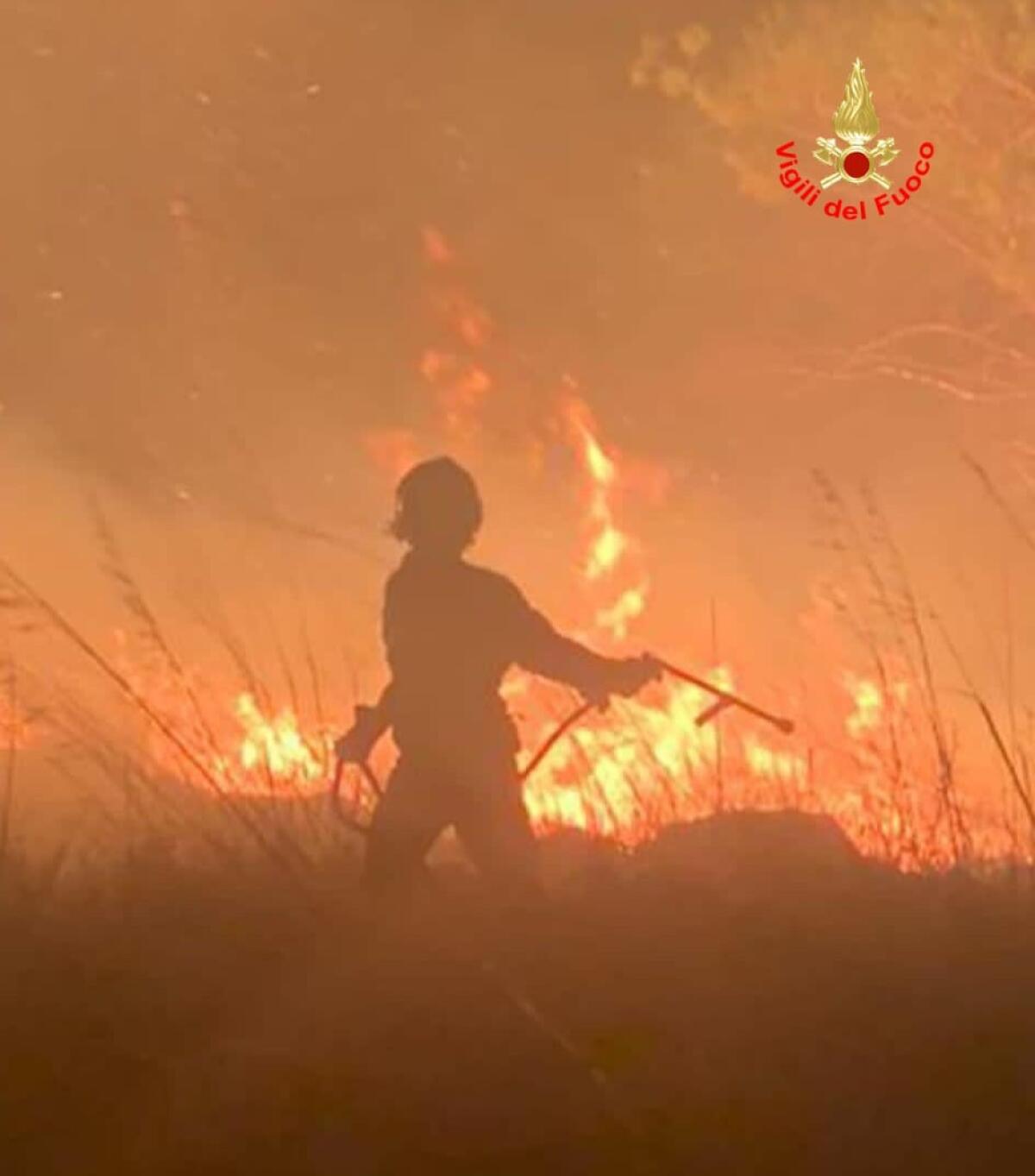 30 ettari di vegetazione in fiamme a Sonnino. Incendio ancora in corso. - 