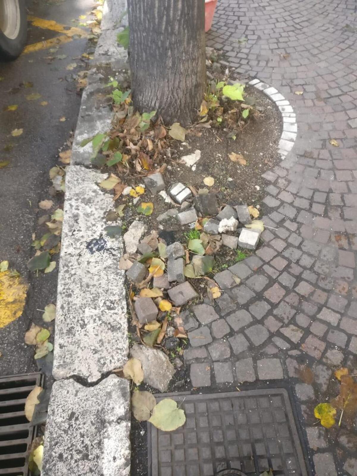A Pomezia partono i lavori di manutenzione straordinaria delle strade del centro - 