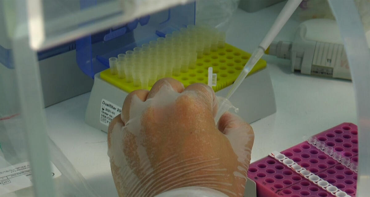 Anche nelle farmacie del Lazio i vaccini antinfluenzali. - 