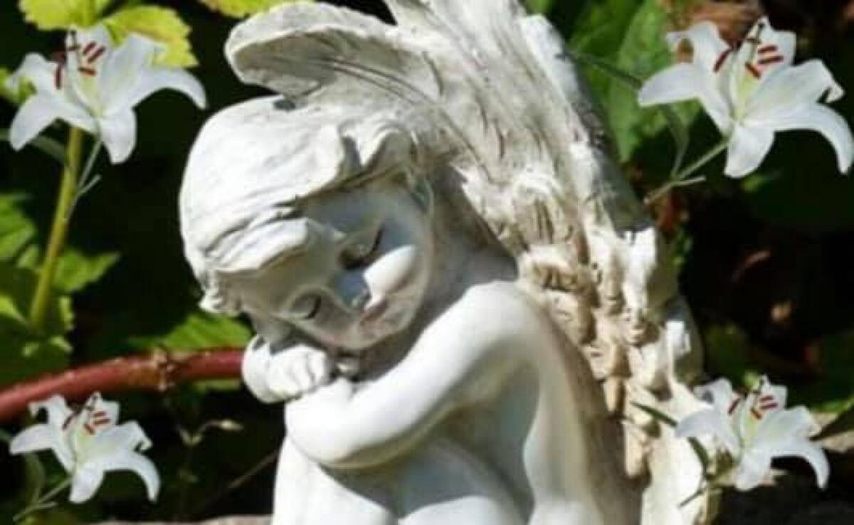 Il Comune di Nettuno: “no agli assembramenti nel giorno dei defunti, il Cimitero è aperto tutti i giorni”. - 