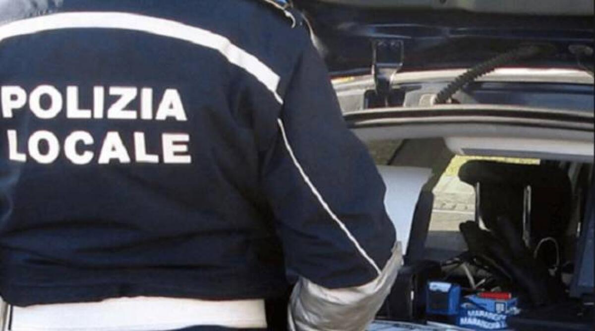 Pomezia, scoperta pensione abusiva per cani - 