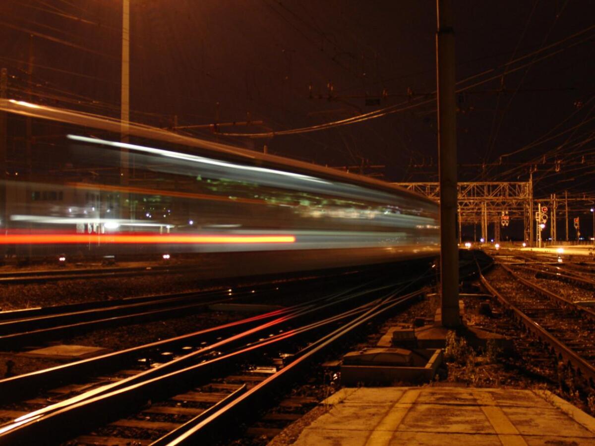 Abbandona il cane sui binari, per lei una multa di 5 mila euro - 