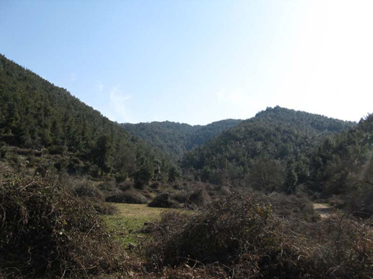 Stop agli assembramenti a Bassiano, il sindaco vieta l'accesso sulla Semprevisa - 