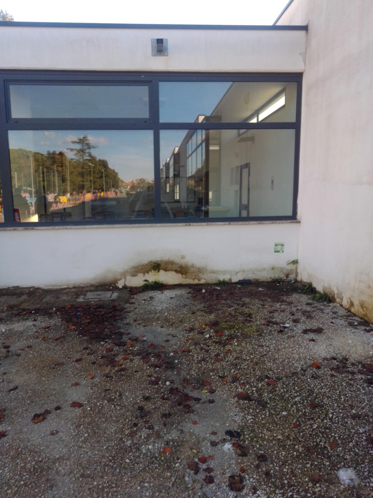 Lanuvio: la Scuola Media di Campoleone sarà ampliata, opere per quasi un milione di euro - 