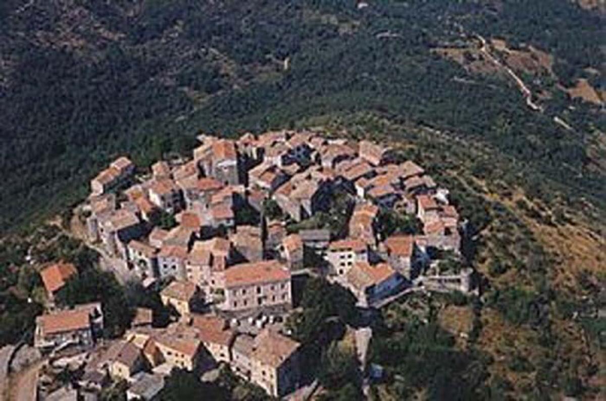 Immagine da tutelare? A Campodimele la Giunta pronta a querelare l'opposizione: "Inaccettabile" - 