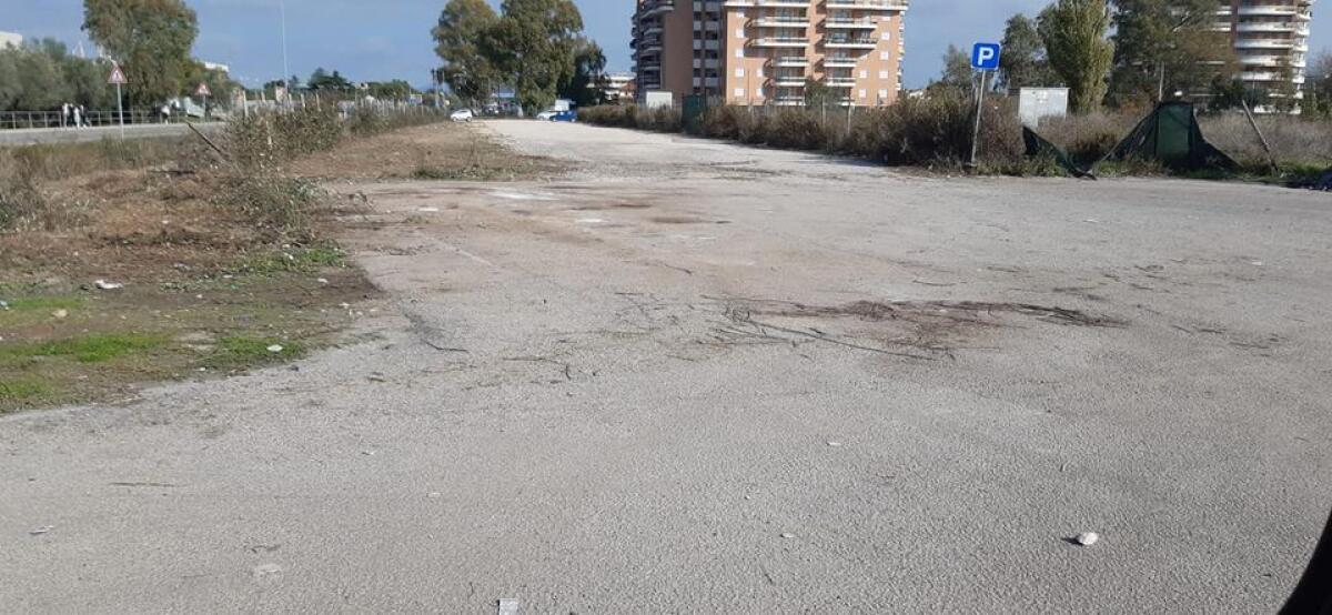 Rimossi i rifiuti vicino al liceo Meucci di Aprilia FOTO - 