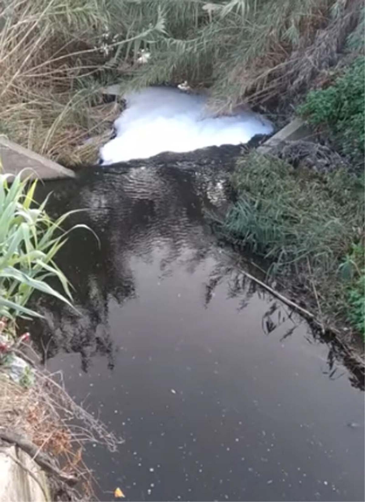 Aprilia - Schiuma nel fosso Carrocetello: nuova segnalazione con un video, inquinamento ormai costante - 