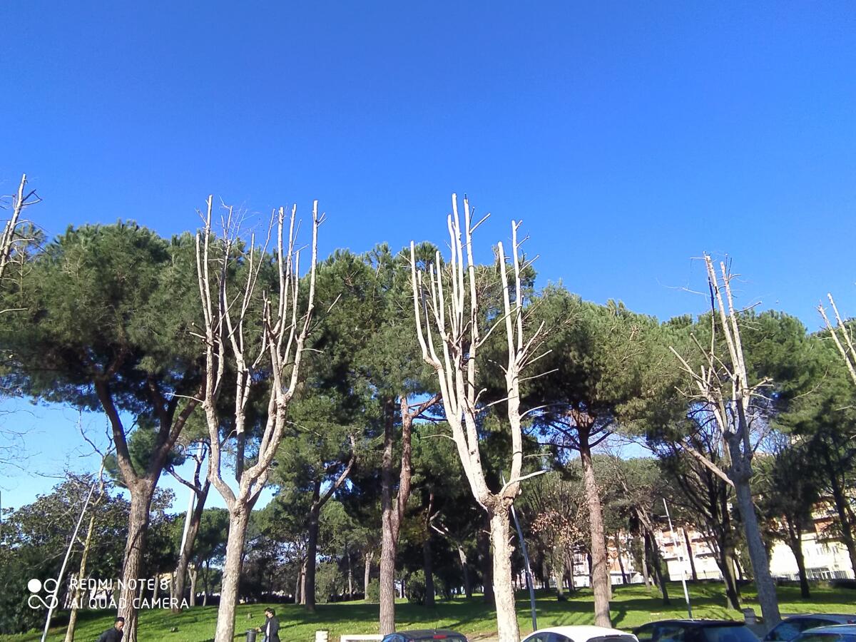 Circuito fitness nel parco "Falcone e Borsellino" di Aprilia - 