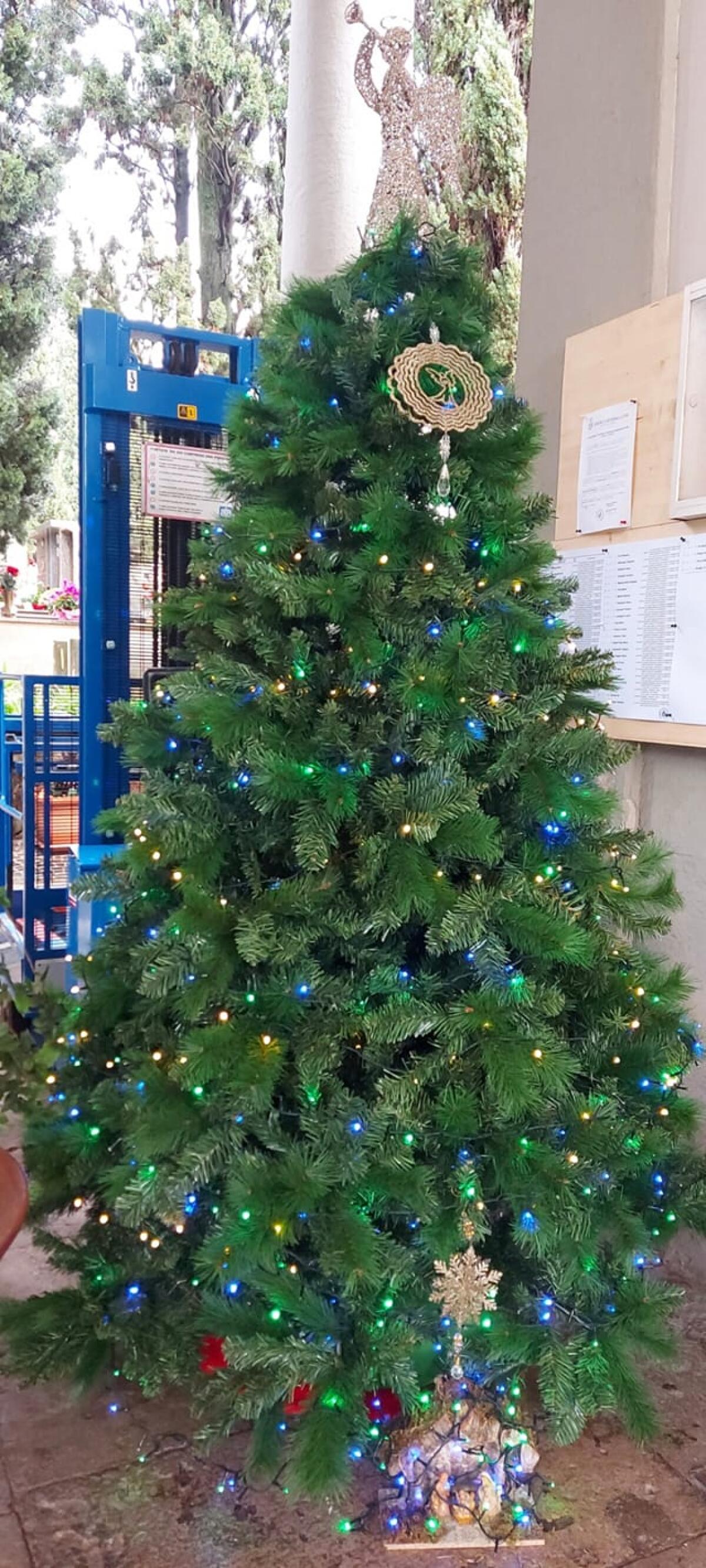 L’albero di Natale dei familiari delle vittime della strada: "Addobbato con un ricordo di un caro scomparso" - 