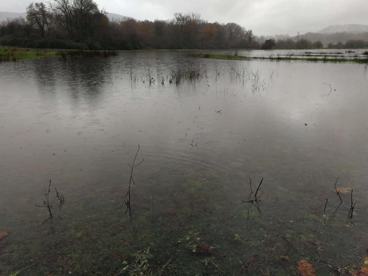 Maltempo, esonda il fiume Amaseno nel sud pontino. Bomba d'acqua ai Castelli - 