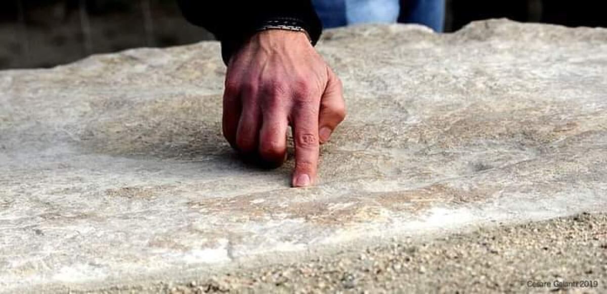 Rimossa l'impronta di dinosauro di Rio Martino, "L'ha presa la Sovrintendenza" - 