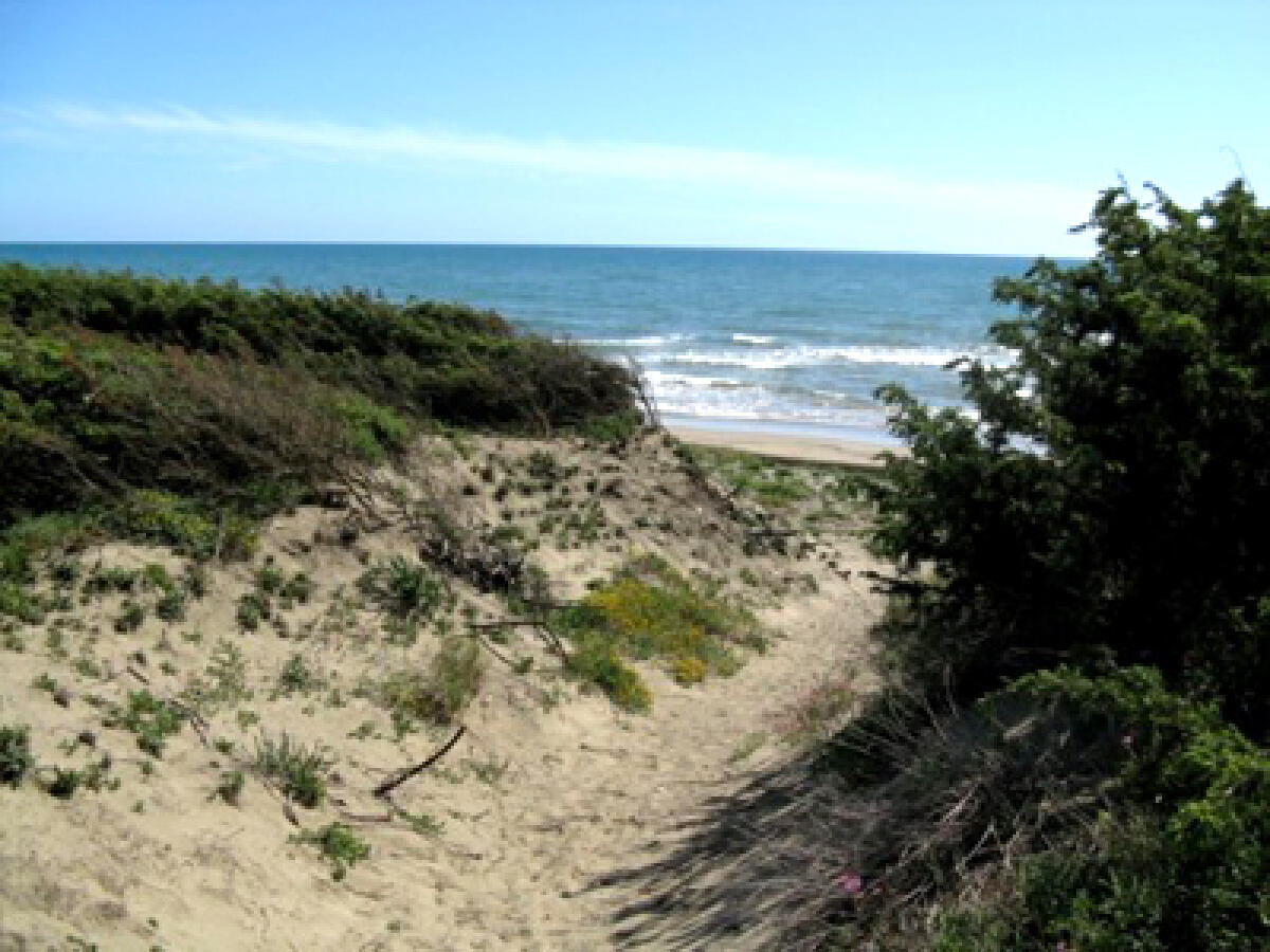 Salvaguardia delle dune, il Comune di Pomezia approva il piano - 