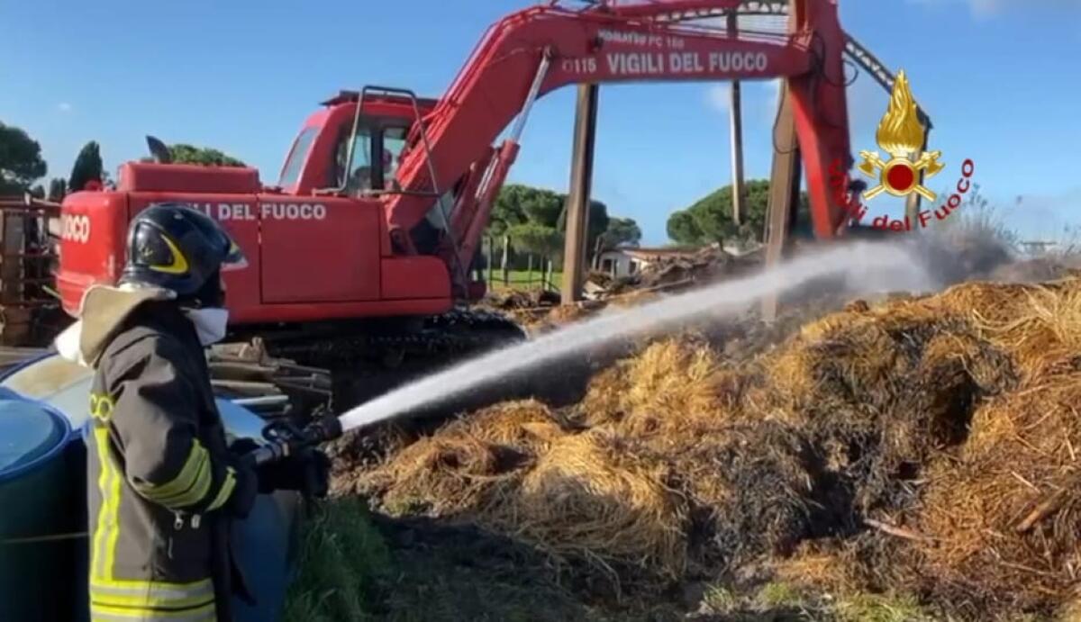 Fiamme nel fienile di un’azienda agricola nella zona di Fossignano, ad Aprilia. Oggi la messa in sicurezza dell’area. - 