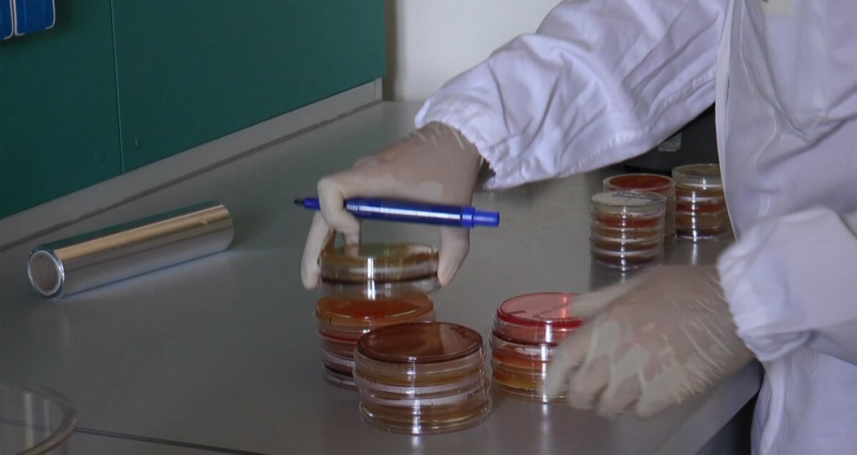 Vaccino anti-Covid: già disponibili nelle Asl del Lazio 32 tank congelatori. A Latina arrivati i primi due. - 